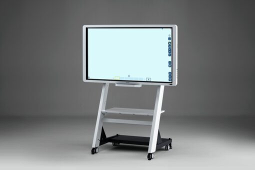 Ricoh D5520 smart board