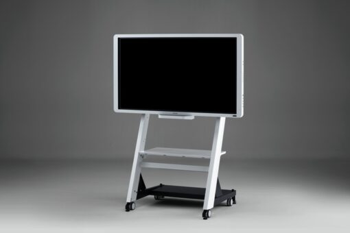 Ricoh D5520 smart board